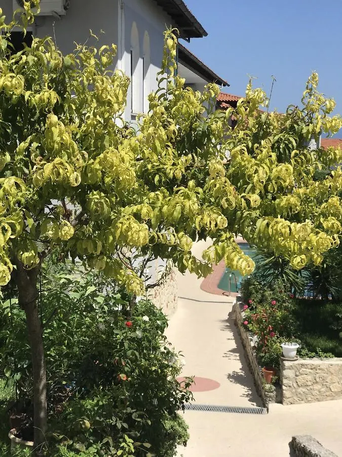 Hotel Pighi Kriopigi