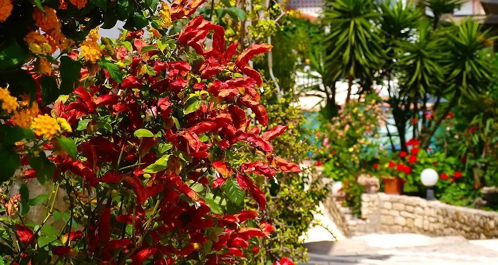 Hotel Pighi Kriopigi